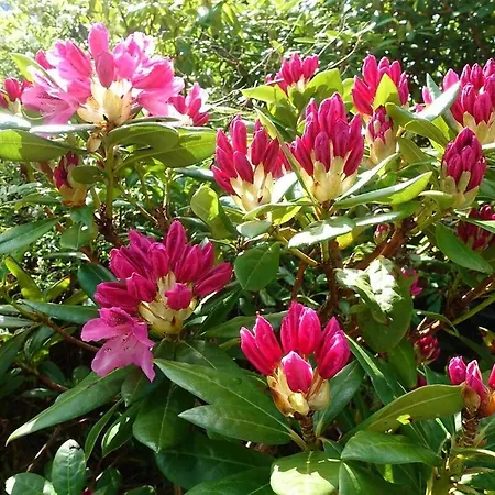 Apartamento Second *